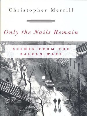 cover image of Only the Nails Remain